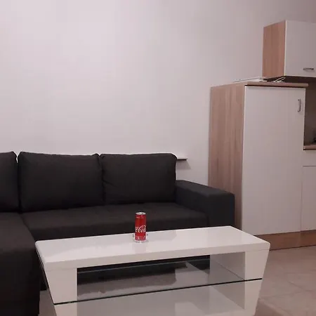 Ubytovani-plzen-can Guest house